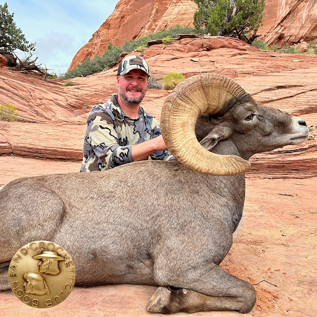 man with sheep