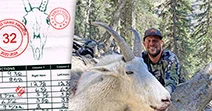 NEW! Rocky Mountain Goat 